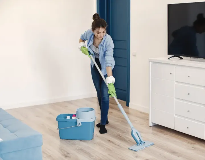 Femme de ménage Moulineaux